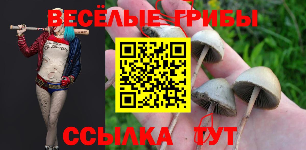 Нурлат  Псилоцибиновые грибы ЛСД  Вход с VPN 